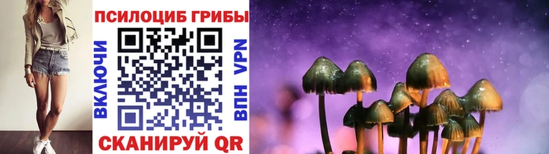Псилоцибиновые грибы Psilocybine cubensis  Бологое 